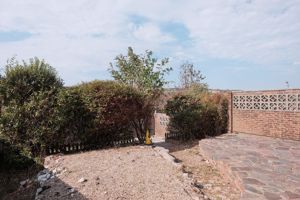 Garden- click for photo gallery